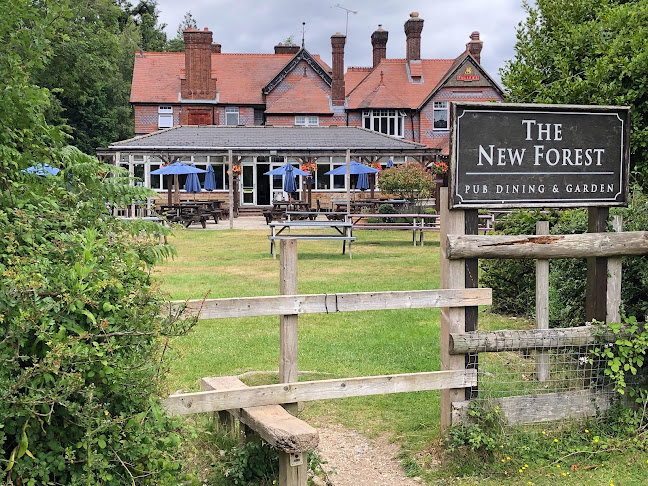 The New Forest, Ashurst - Southampton