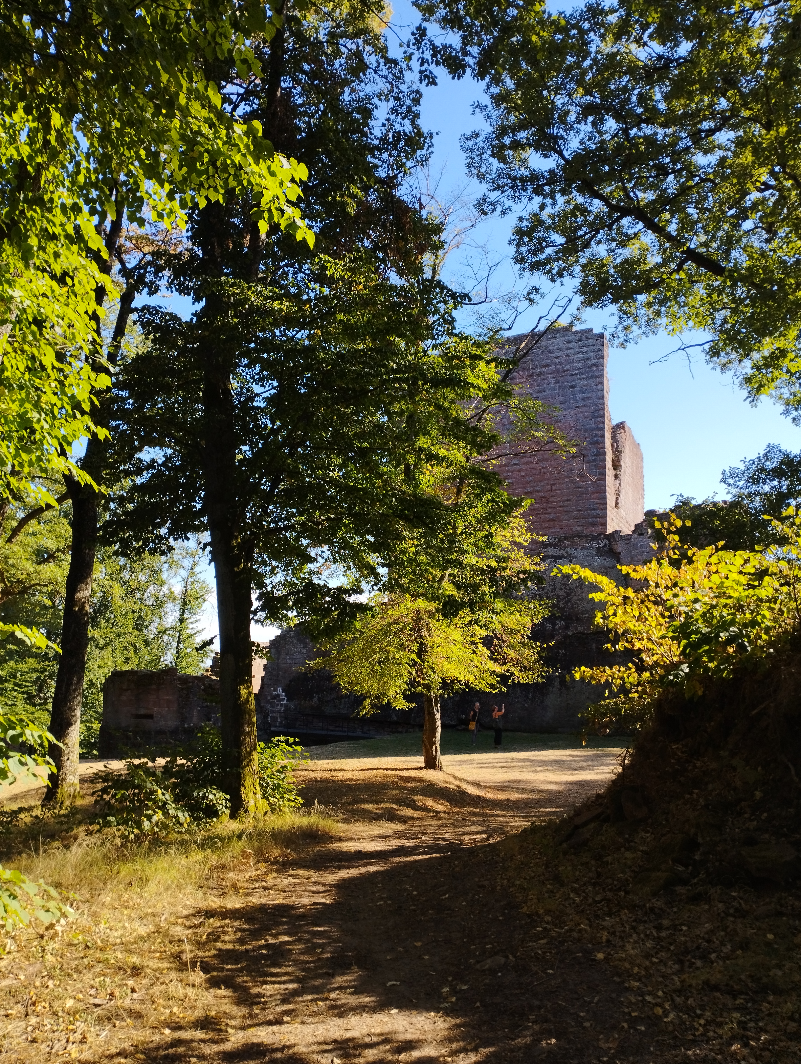 Photo n° 6 de l'avis de Stéphane. fait le 12/08/2022 à 08:12