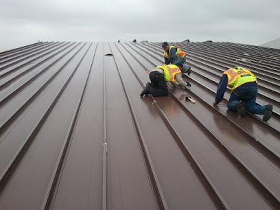 Professional Roofers & Contractors