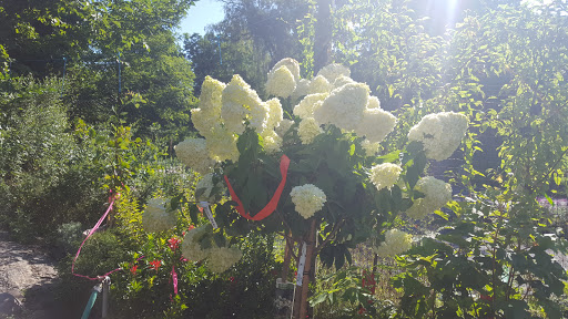 Garden Center «Victoria Gardens», reviews and photos, 1 Cottekill Rd, Rosendale, NY 12472, USA