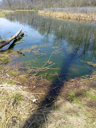 Battle Site «Third Battle of Winchester Battlefield Park», reviews and photos, 541 Redbud Rd, Winchester, VA 22603, USA