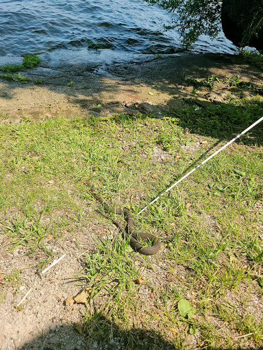 Resort «Indiana Beach Boardwalk Resort», reviews and photos, 5224 E Indiana Beach Rd, Monticello, IN 47960, USA