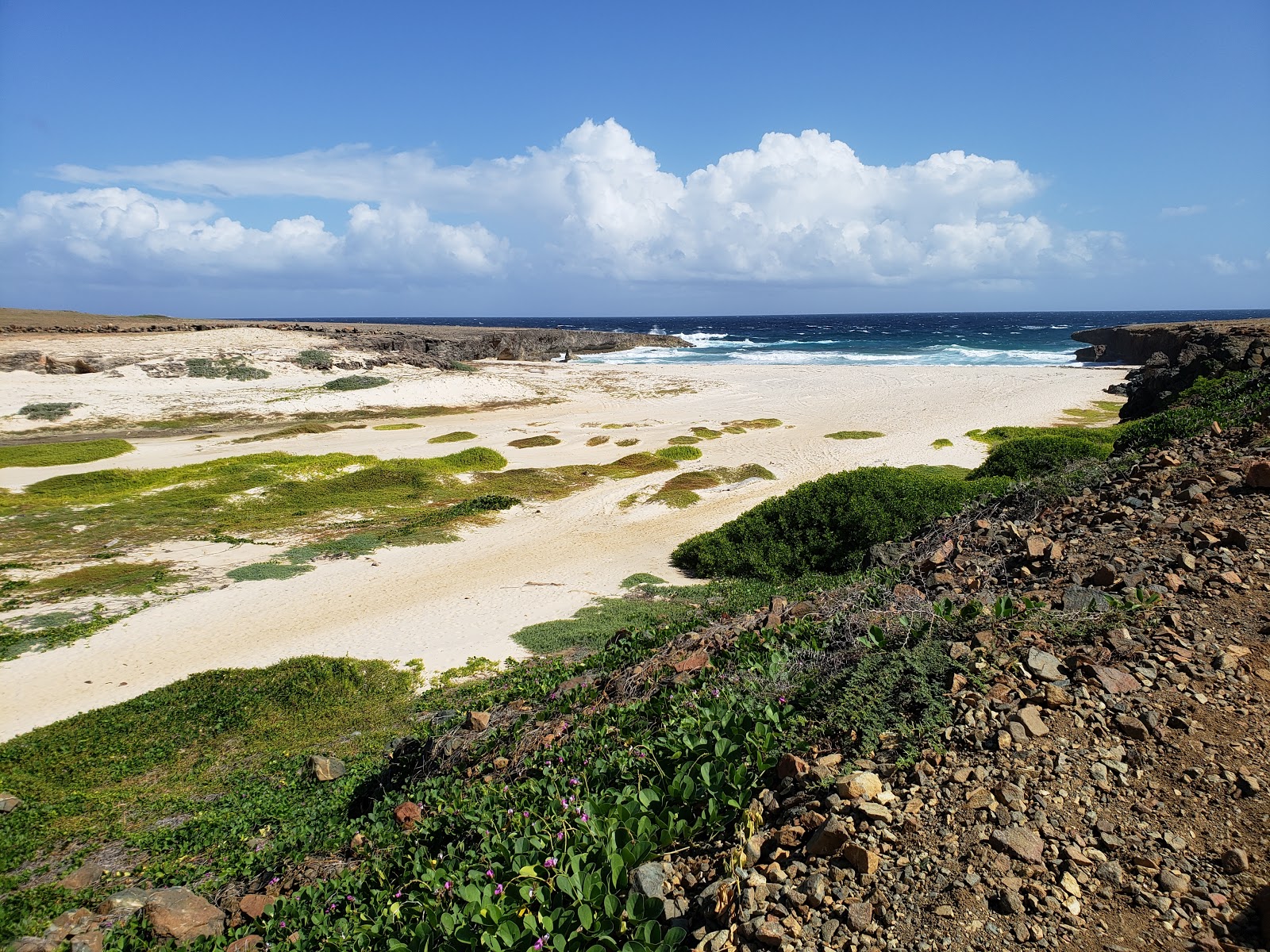 Daimari beach'in fotoğrafı kirli temizlik seviyesi ile