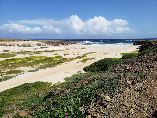 Daimari beach