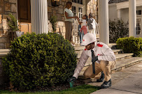 Orkin - Photo 6 - Car repair in Fairfield, CA, Vallejo