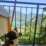 Photo n°1 de l'avis de Sandra.s fait le 14/08/2023 à 13:27 sur le  Home Restaurant L'Osteria di Bacco à Castel di Tora