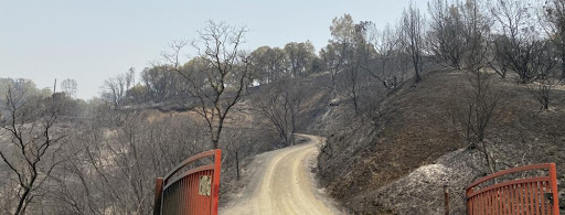 Nature Preserve «UC Davis - Stebbins Cold Canyon Natural Reserve», reviews and photos, CA-128, Winters, CA 95694, USA