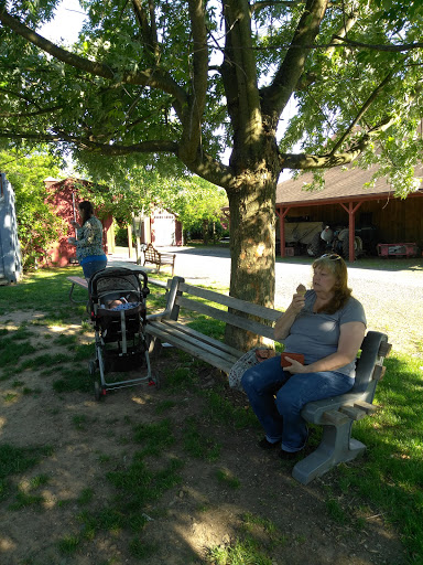 Farm «B & B Flower Farm», reviews and photos, 668 Jones Hill Rd, West Haven, CT 06516, USA