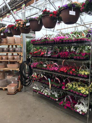 Florist «Forest Lake Floral, Gift & Garden», reviews and photos, 508 Lake St S, Forest Lake, MN 55025, USA