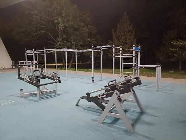 Outdoor Gym Cvičko Most SNP - Bratislava