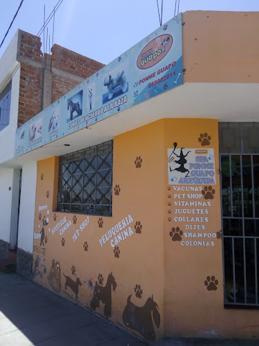 Opiniones de Spa Ponme Guapo Arequipa en Miraflores - Spa