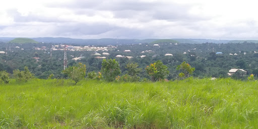 Vet Mountain, Nsukka, Nigeria, Veterinarian, state Enugu