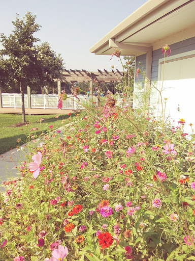 State Park «Hammerman Area Beach», reviews and photos, 7200 Graces Quarters Road, Middle River, MD 21220, USA