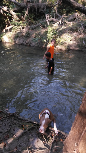 Park «Community Park - Shawnee Park», reviews and photos, 3380 Sherwood Dr, Plano, TX 75074, USA