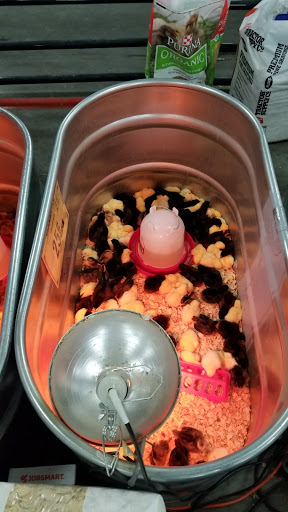 Home Improvement Store «Tractor Supply Co.», reviews and photos, 8447 FL-54, New Port Richey, FL 34655, USA