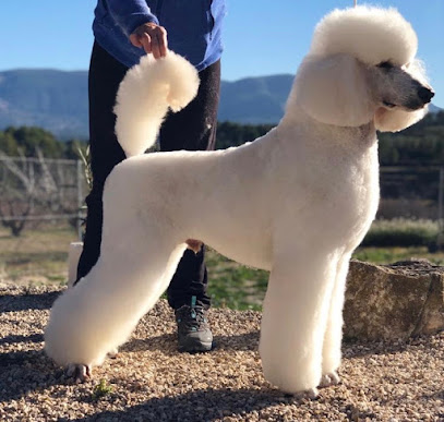Sa Moixa peluqueria canina en Cocentaina