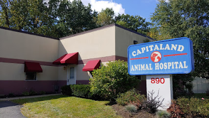 Capitaland Animal Hospital