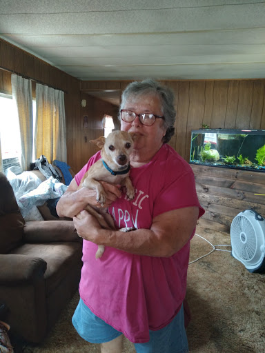 Grocery Store «Giant Food Stores», reviews and photos, 3400 Concord Rd, Aston, PA 19014, USA