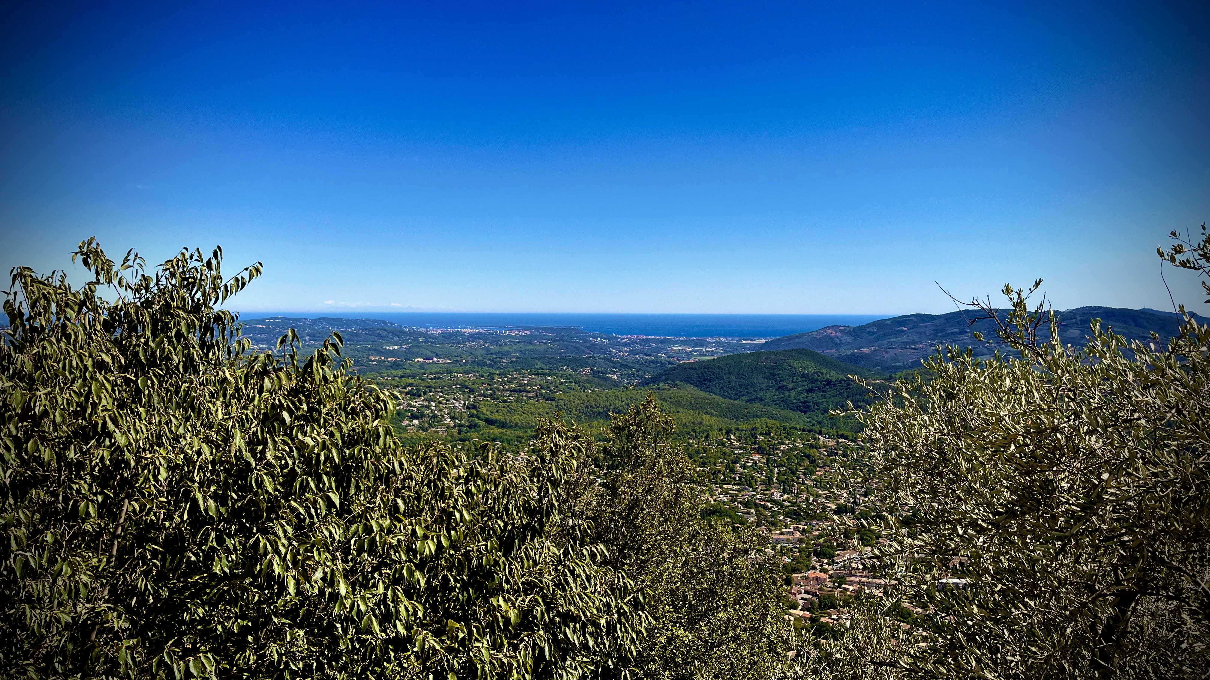 Photo n° 8 de l'avis de Ron06. fait le 12/08/2023 à 14:16