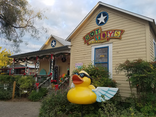 Toy Store «Got Toys», reviews and photos, 1714 Hunter Rd, New Braunfels, TX 78130, USA