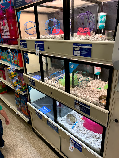 Pet Supply Store «PetSmart», reviews and photos, 3096 N Eastman Rd, Longview, TX 75605, USA