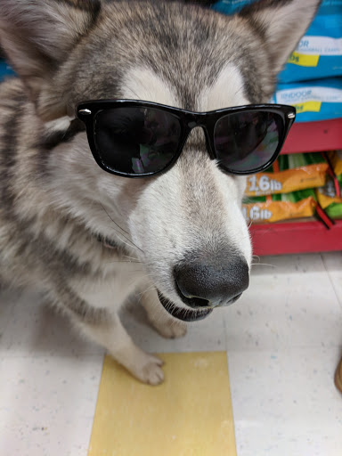 Pet Supply Store «Petco Animal Supplies», reviews and photos, 200 Center Blvd S, Christiana, DE 19702, USA