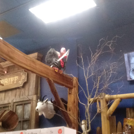 Toy Store «Jackson Hole Toy Store», reviews and photos, 165 Center St, Jackson, WY 83001, USA