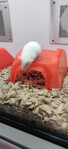 Pet Supply Store «Petco Animal Supplies», reviews and photos, 1919 El Camino Real, Mountain View, CA 94040, USA