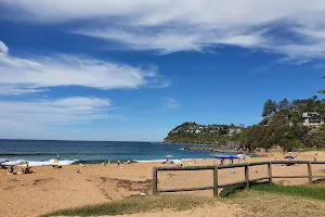 Whale Beach Reserve image