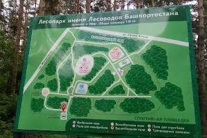 Парк Лесоводов Башкирии image