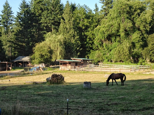 Brackenhollow Stables