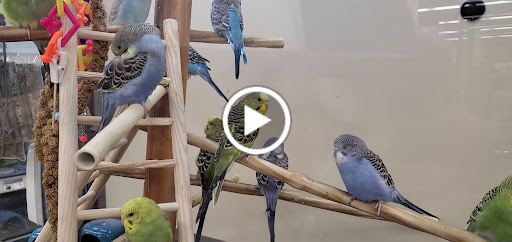 Pet Supply Store «Petco Animal Supplies», reviews and photos, 86 Storrs Rd, Mansfield Center, CT 06250, USA