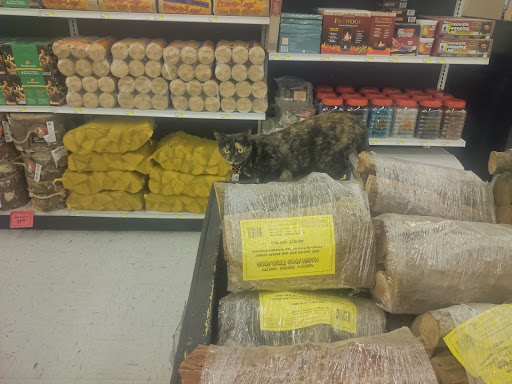 Hardware Store «DIY Home Center», reviews and photos, 2695 Cochran St, Simi Valley, CA 93065, USA