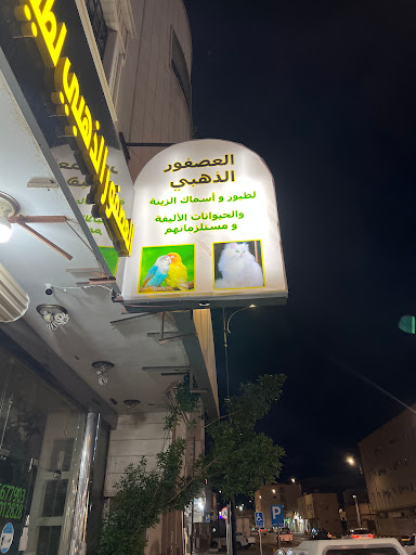 العصفور الذهبى 