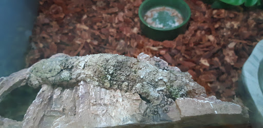 Pet Supply Store «Petco Animal Supplies», reviews and photos, 200 McMahan Blvd, Marion, OH 43302, USA