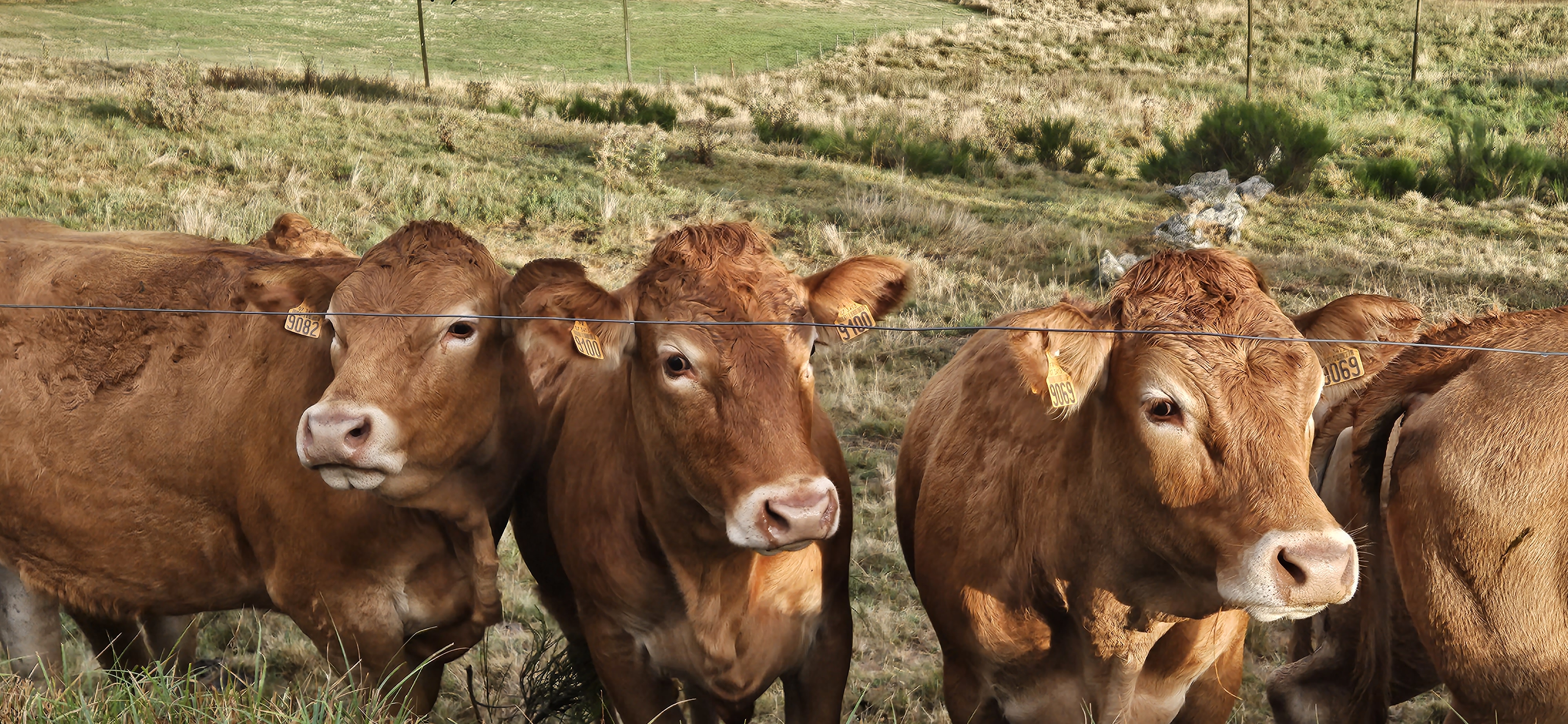 Photo n° 8 de l'avis de Gaël. fait le 30/08/2023 à 22:48