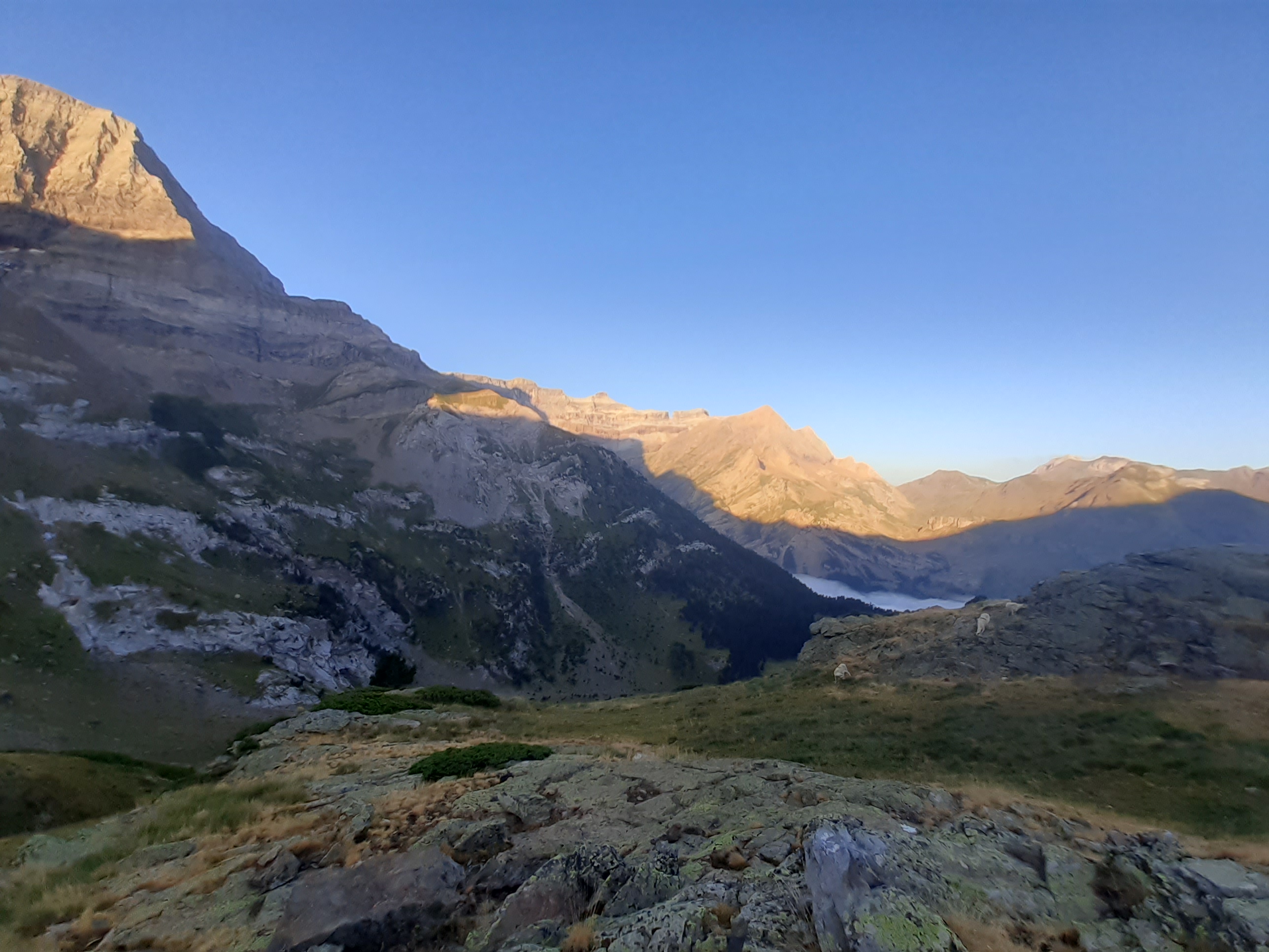 Photo n° 7 de l'avis de Emmanuel.e fait le 31/07/2022 à 23:20
