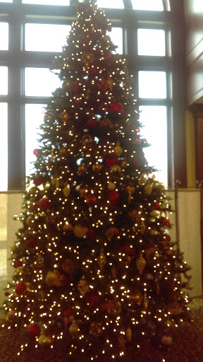 Country Club «Greystone Golf & Country Club», reviews and photos, 4100 Greystone Dr, Birmingham, AL 35242, USA