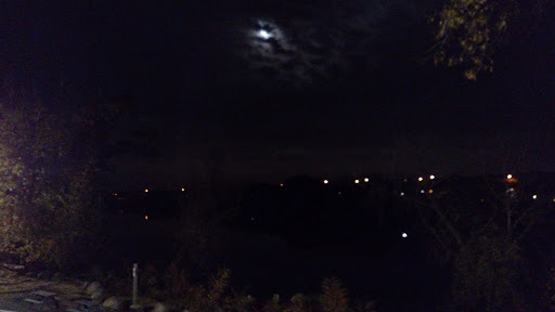 Night Club «The Waterfront Tavern 