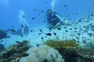 Ting Hai Scuba & Free Diving Phi Phi Island image