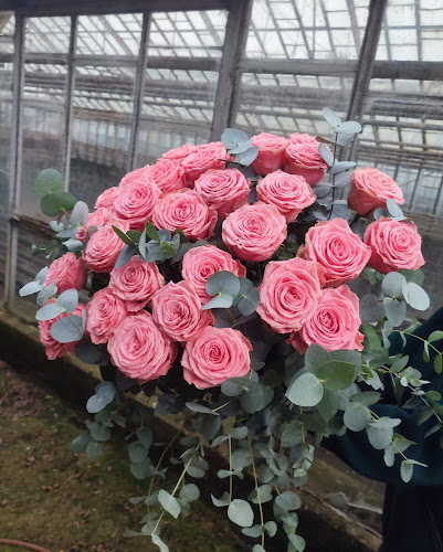 Opinii despre Kwiaciarnia Luboń - Gardenia. Dekoracje ślubne, wiązanki, wieńce. în Grunwald - Kwiaciarnia