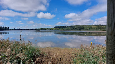 Etang de Marcenay à Marcenay