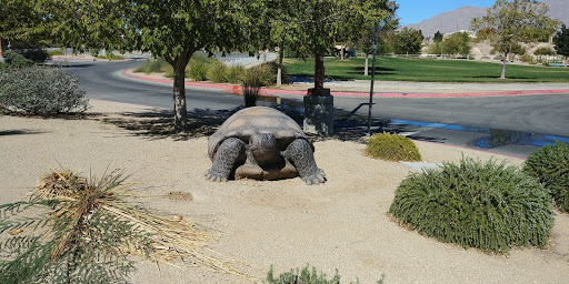 Park «Centennial Hills Park», reviews and photos, 7101 N Buffalo Dr, Las Vegas, NV 89131, USA