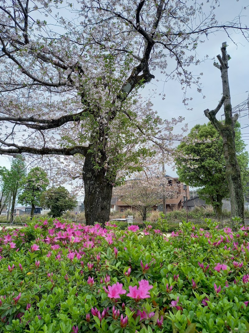 美尾崎公園