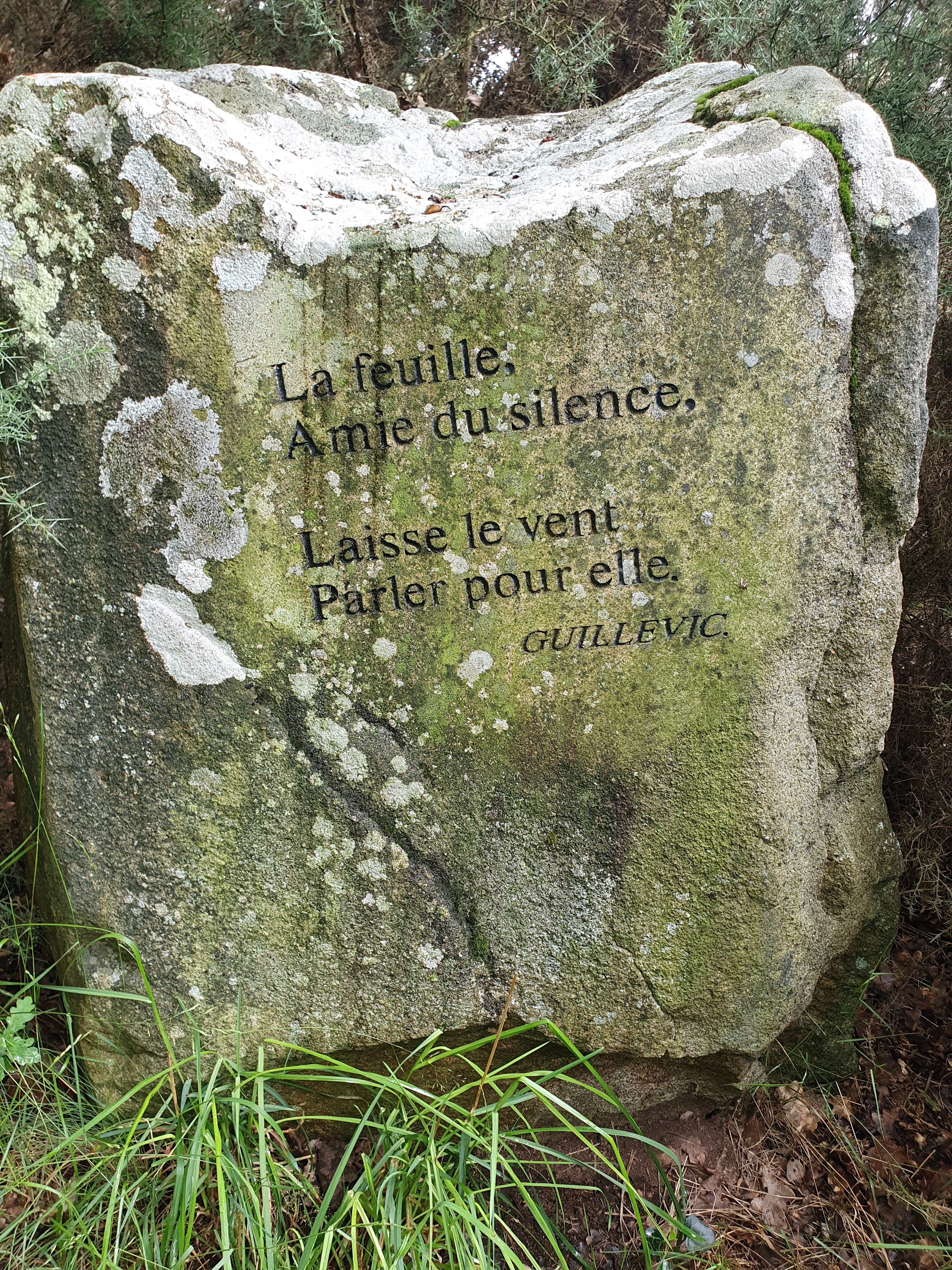 Photo n° 13 de l'avis de Astaroth.a fait le 11/07/2021 à 21:47