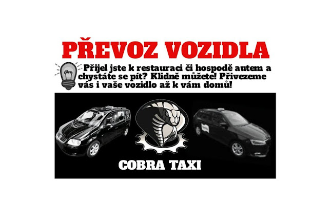 cobra-taxi.business.site