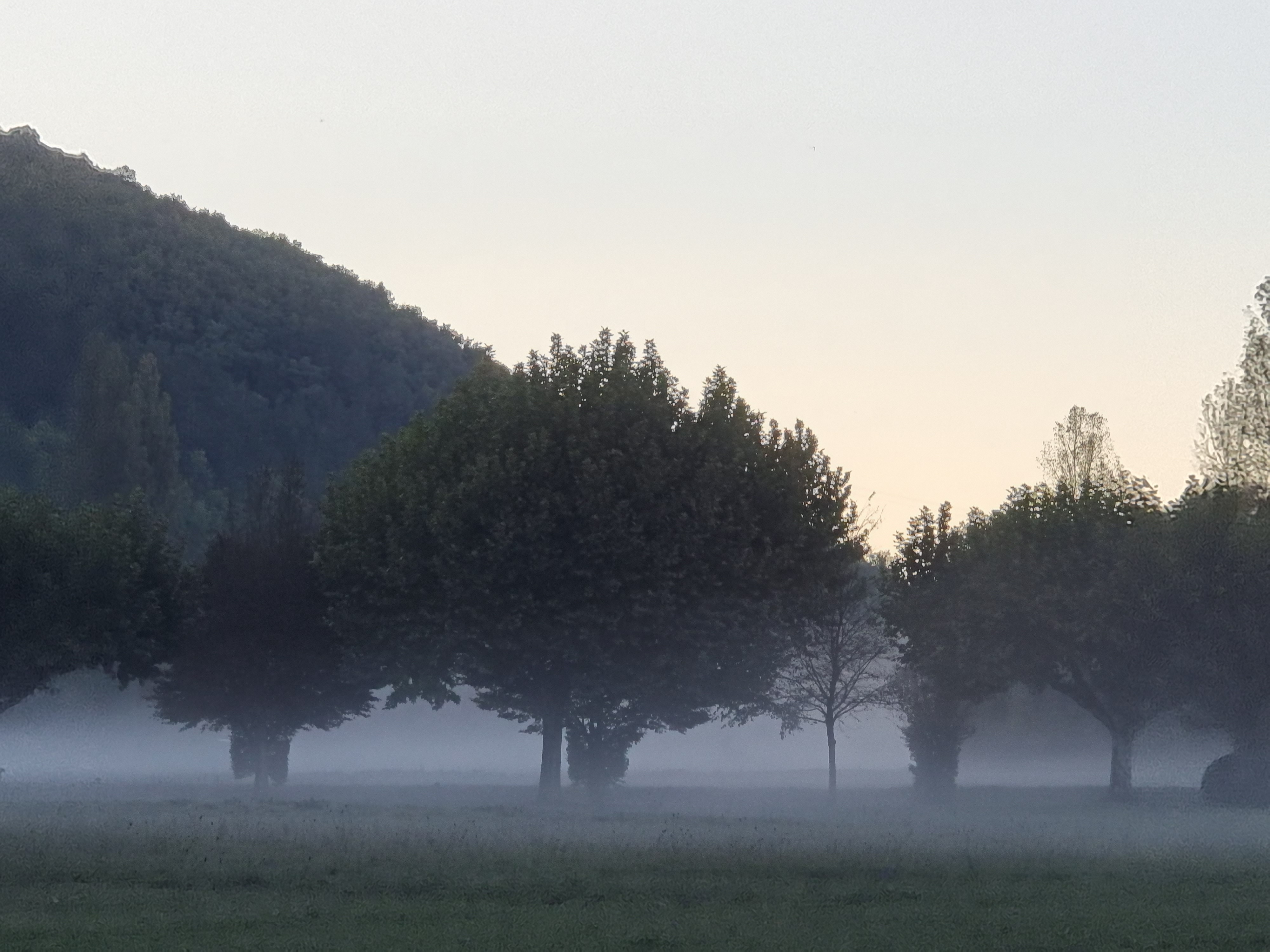 Photo n° 3 de l'avis de Henk.e fait le 08/10/2022 à 18:35
