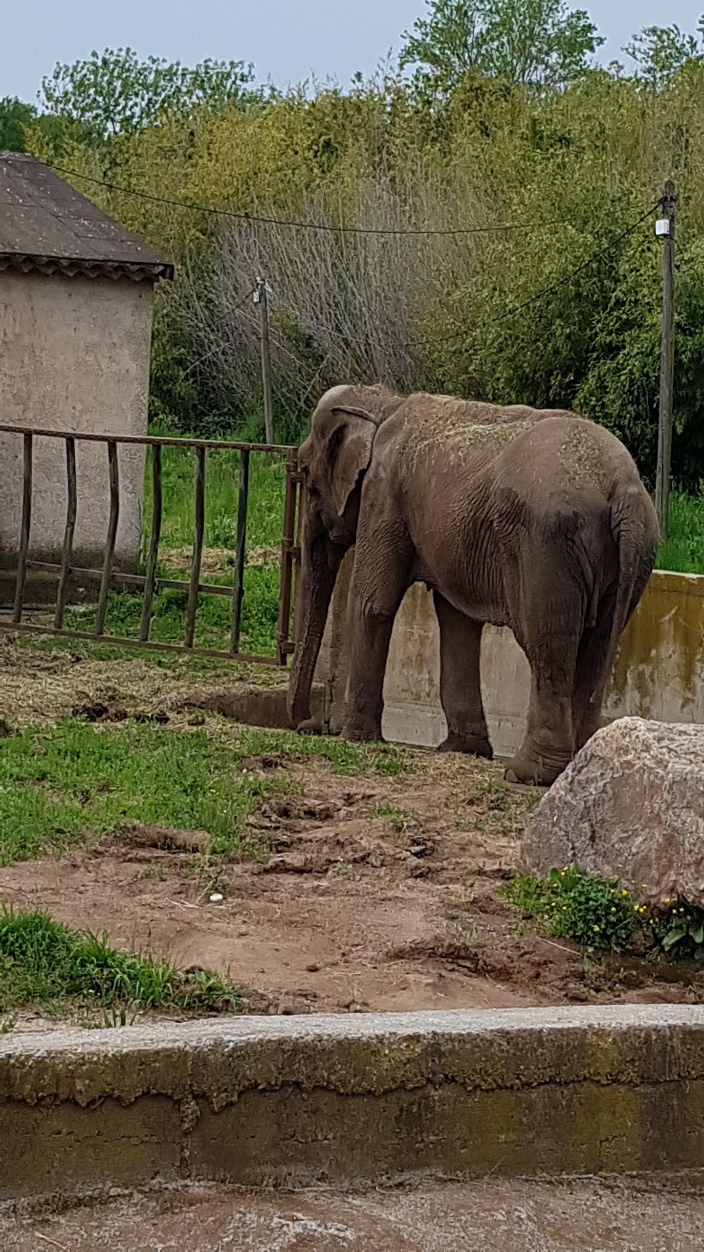 Photo n° 6 de l'avis de Isabelle.e fait le 16/04/2019 à 22:21