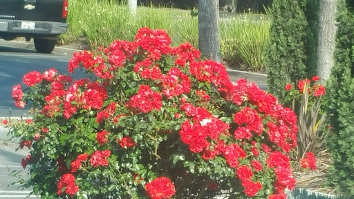 Gym «24 Hour Fitness Super Sport», reviews and photos, 4821 Del Amo Blvd, Lakewood, CA 90712, USA