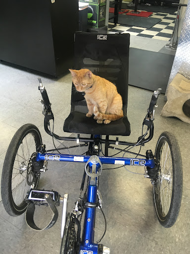 Bicycle Store «Bicycle Experience», reviews and photos, 1601 S Tejon St, Colorado Springs, CO 80905, USA